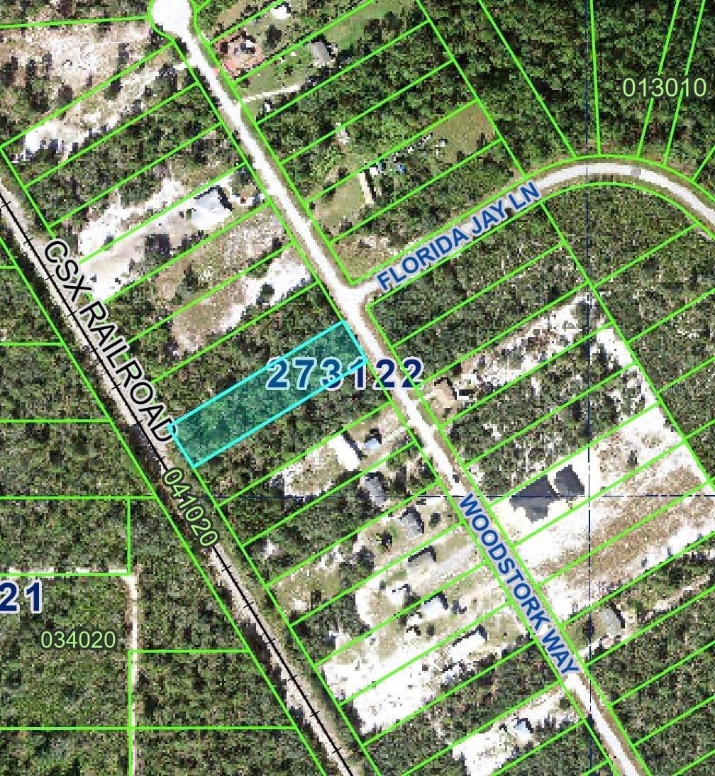 WOODSTORK WAY — photo 2 of 5