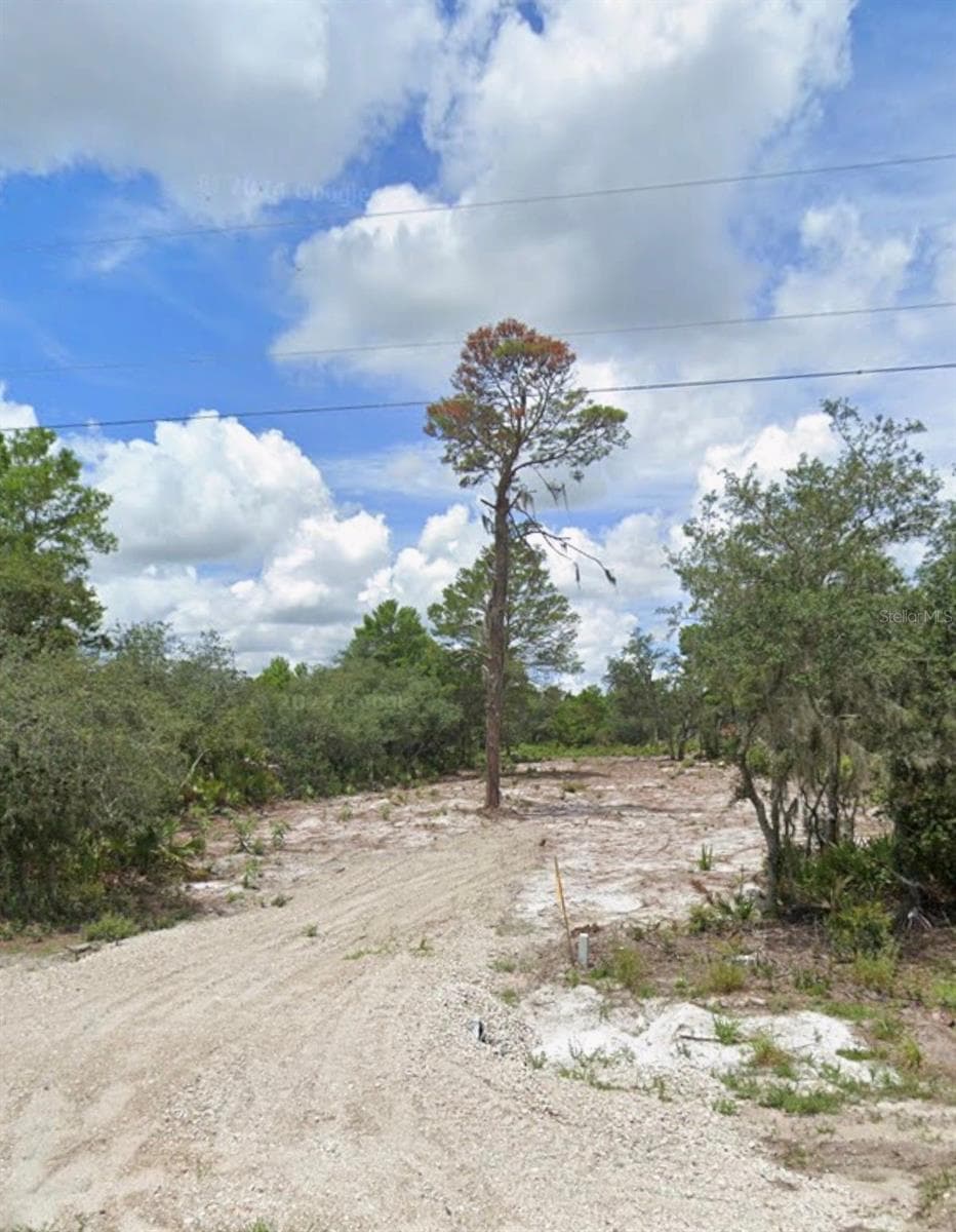 WOODSTORK WAY — photo 5 of 5
