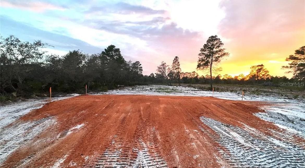 WOODSTORK WAY — photo 1 of 5