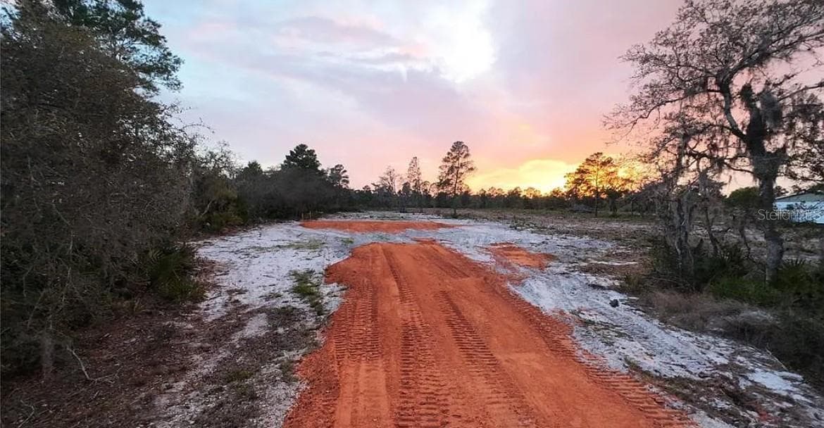 WOODSTORK WAY — photo 3 of 5