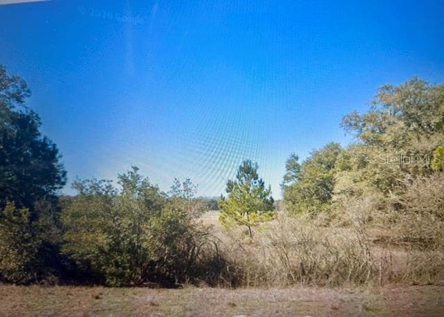 00 60TH AVENUE — photo 8 of 12