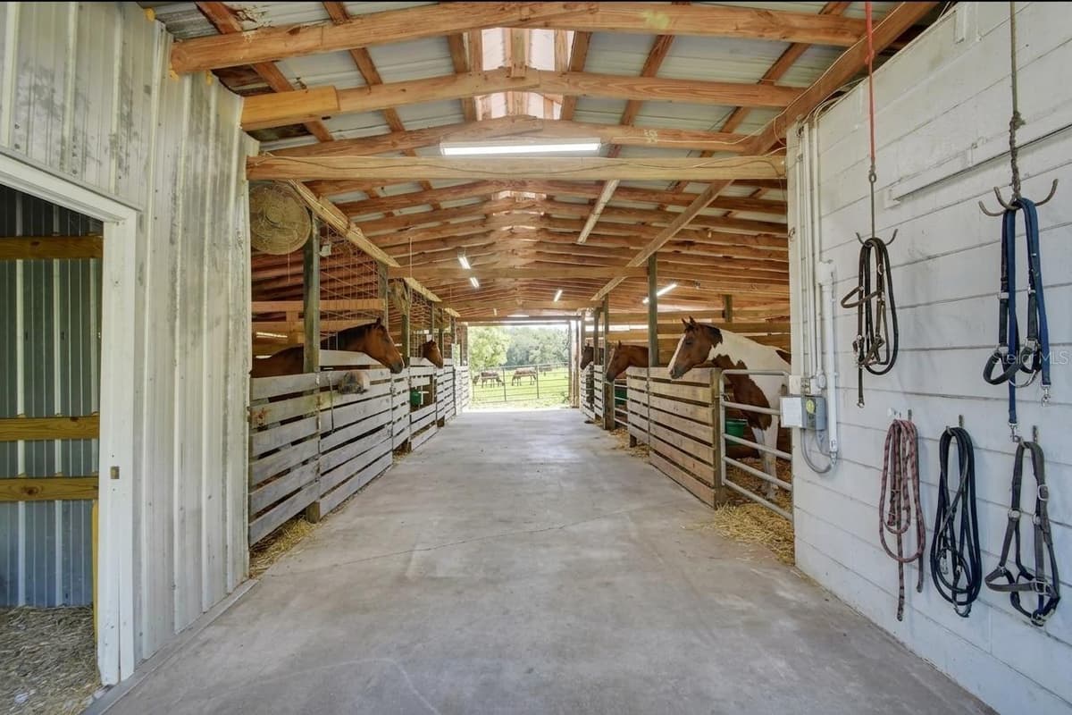 900 KICKLIGHTER (5 +- ACRES) ROAD — photo 31 of 55