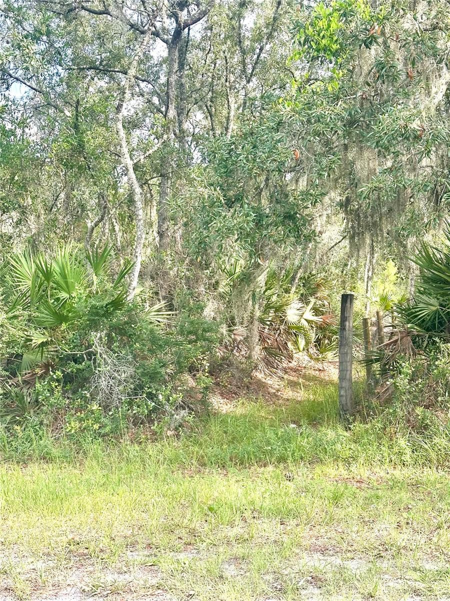 SAFFRON AVENUE — photo 4 of 7