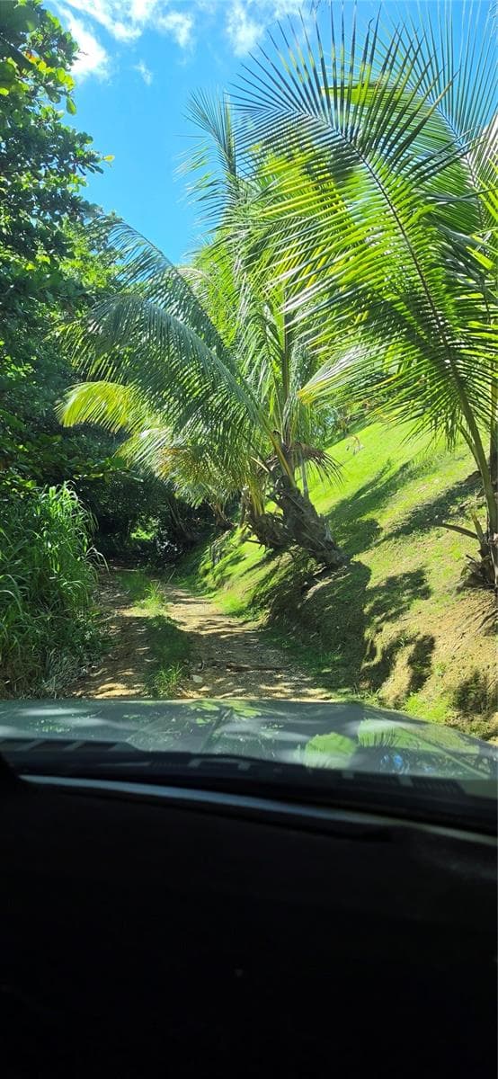 PUNTAS PARADISE-- CALLE VISTA DEL MAR — photo 12 of 12