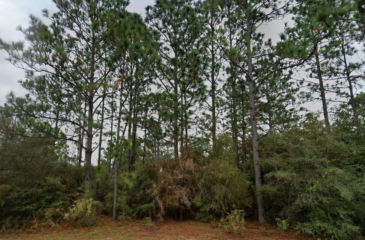 DELTONA BOULEVARD — photo 1 of 4