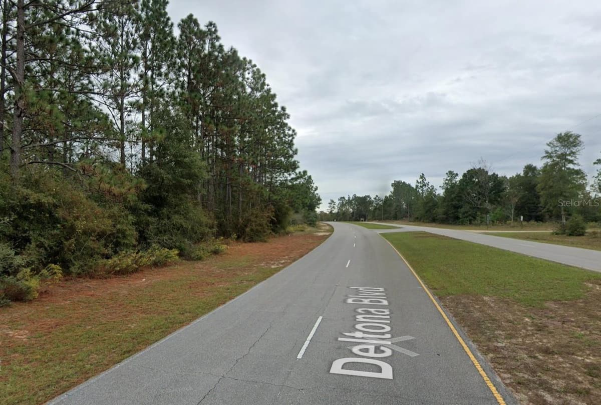 DELTONA BOULEVARD — photo 3 of 4