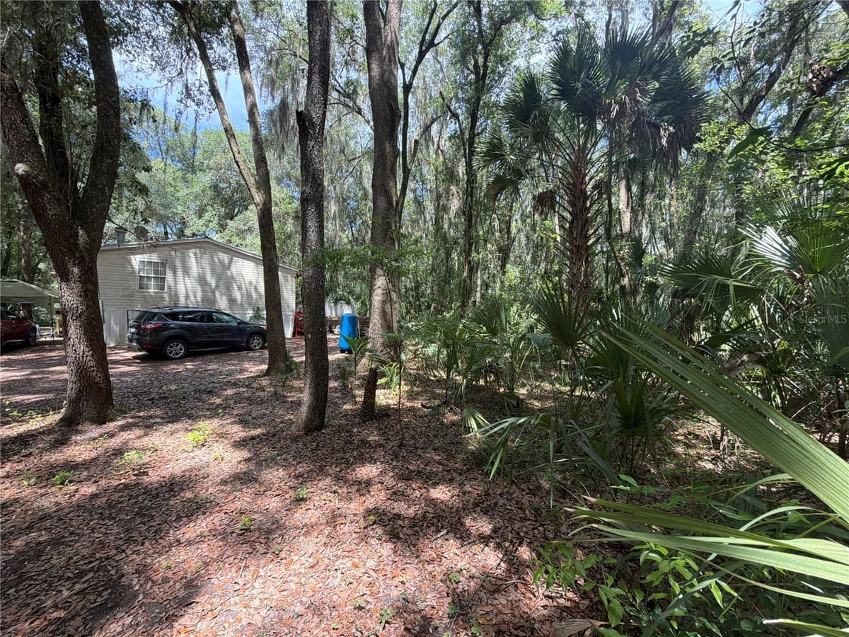 191 LITTLE ORANGE LAKE DRIVE — photo 5 of 32