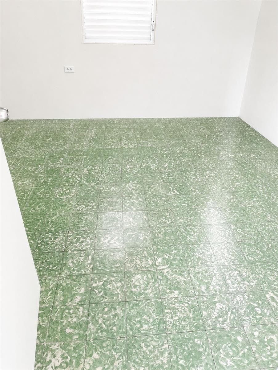 54 CALLE DR. VEVE — photo 14 of 16