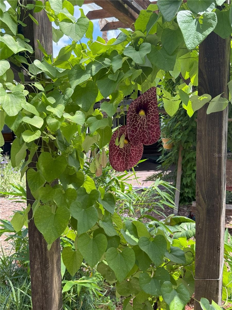 Unknown — photo 44 of 74