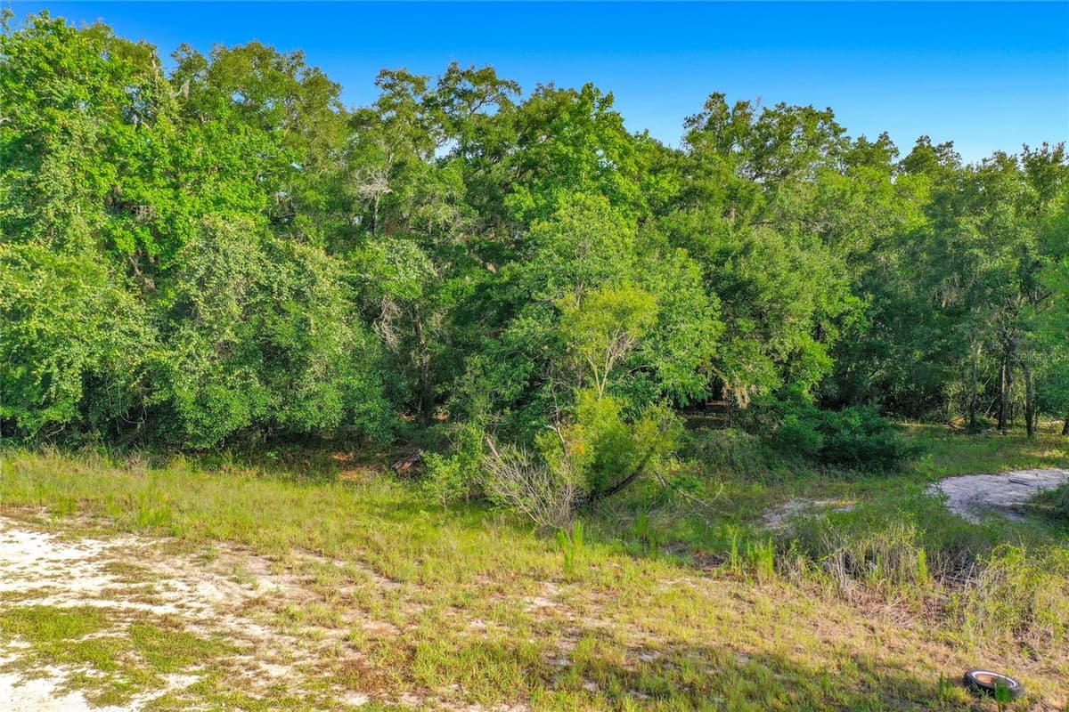 33099 CORAL ROCK DRIVE — photo 13 of 21
