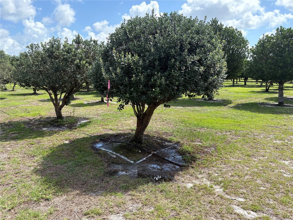 1238 US 301 — photo 4 of 36