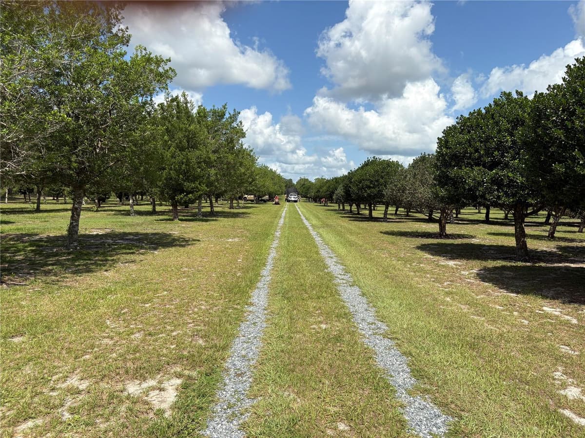 1238 US 301 — photo 12 of 36