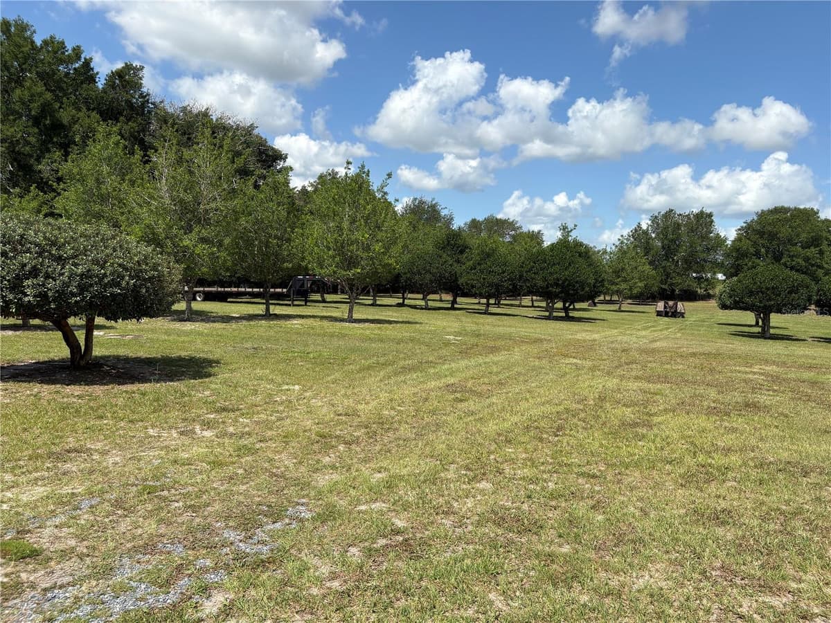 1238 US 301 — photo 16 of 36