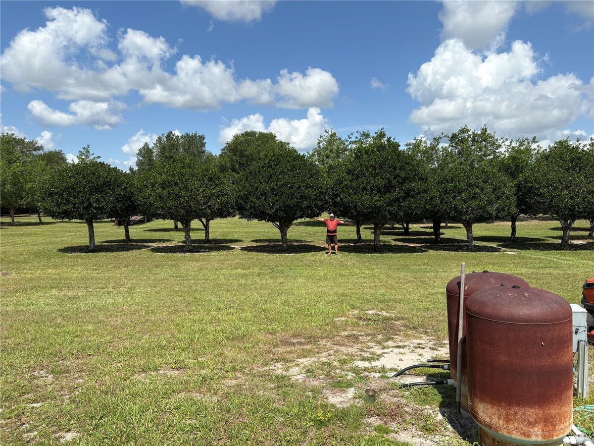 1238 US 301 — photo 19 of 36