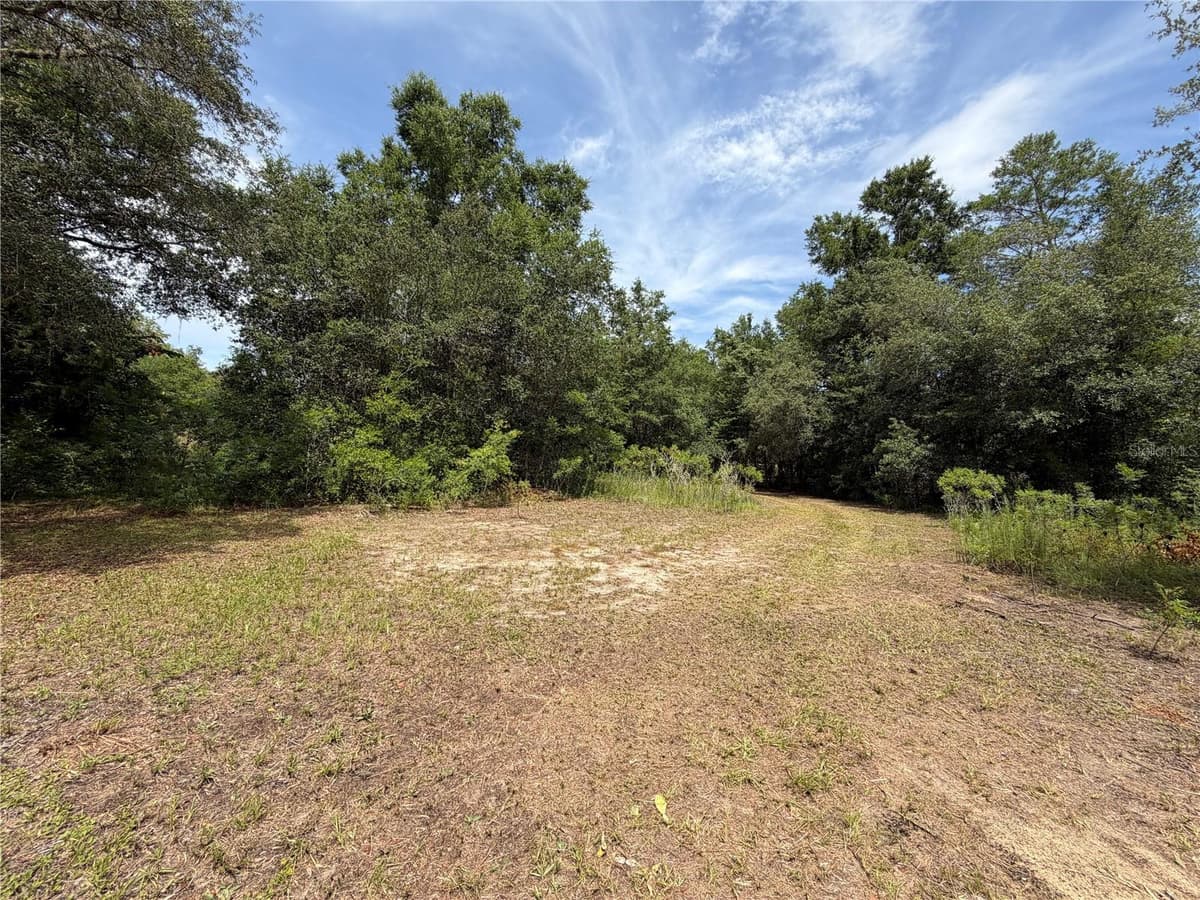 9730 STATE ROAD 24 — photo 15 of 46