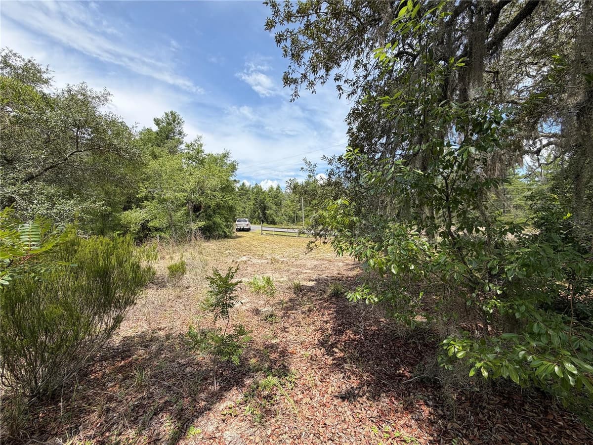 9730 STATE ROAD 24 — photo 11 of 46