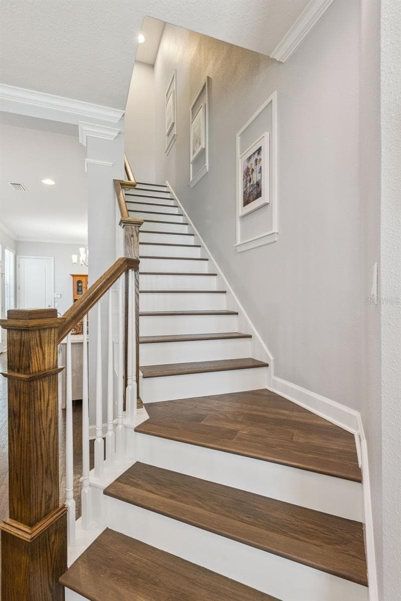 1426 RESOLUTE STREET — photo 16 of 43