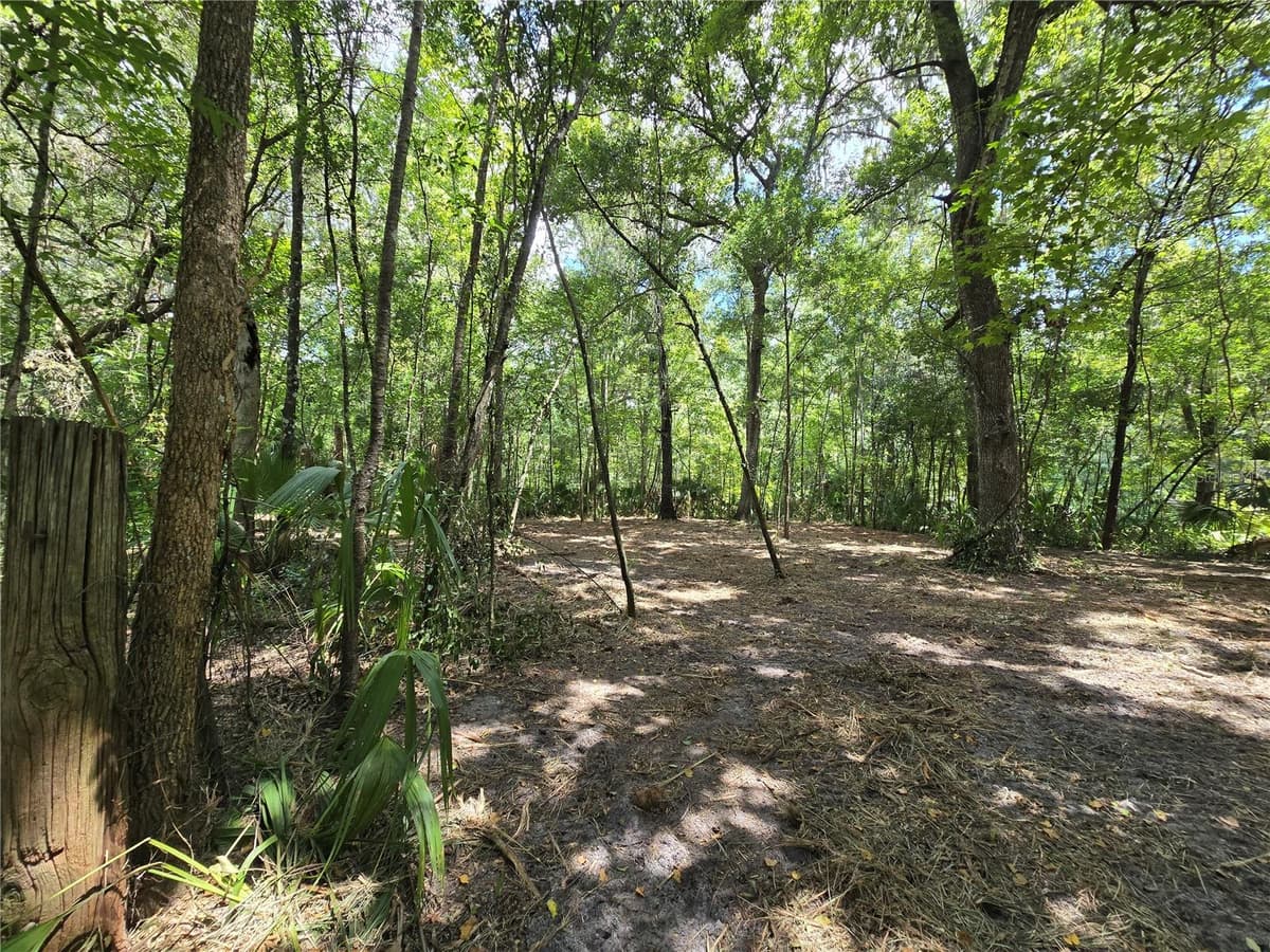 2381 JUNGLECAMP ROAD — photo 15 of 15