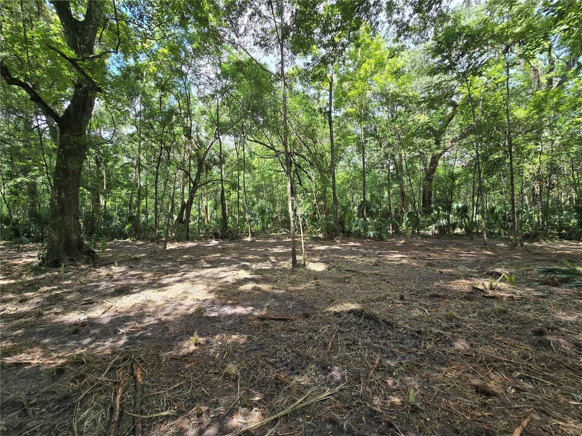 2381 JUNGLECAMP ROAD — photo 11 of 15