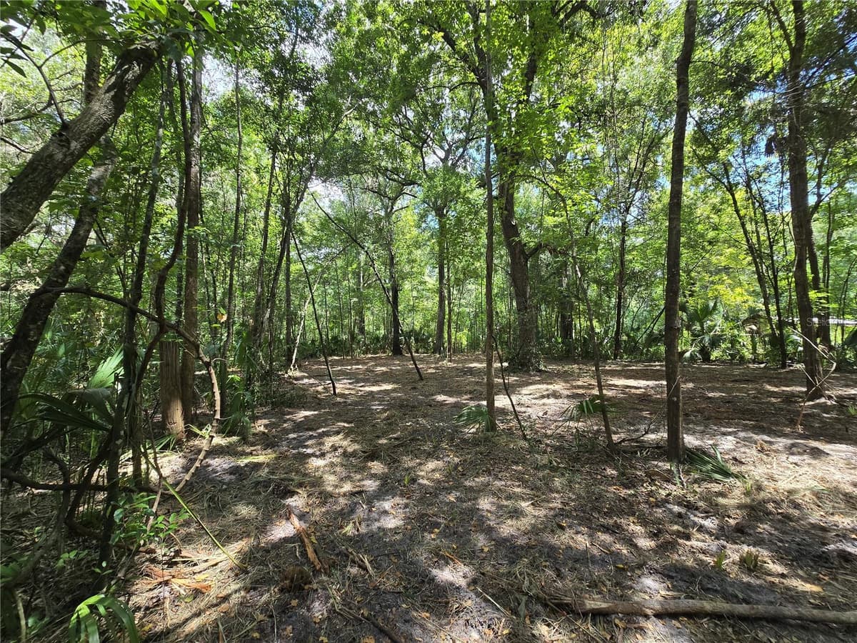 2381 JUNGLECAMP ROAD — photo 14 of 15