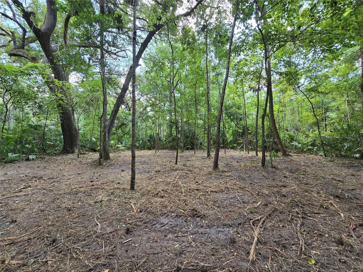 2381 JUNGLECAMP ROAD — photo 6 of 15