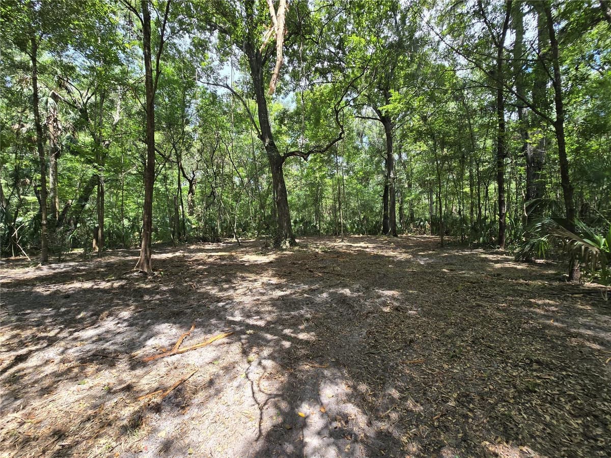 2381 JUNGLECAMP ROAD — photo 12 of 15