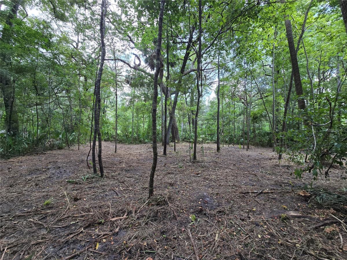 2381 JUNGLECAMP ROAD — photo 7 of 15