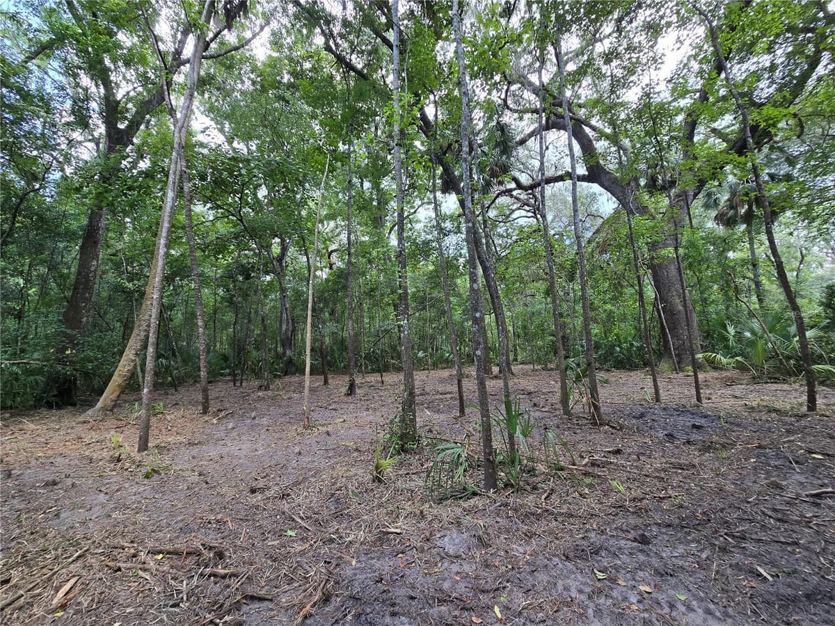 2381 JUNGLECAMP ROAD — photo 10 of 15