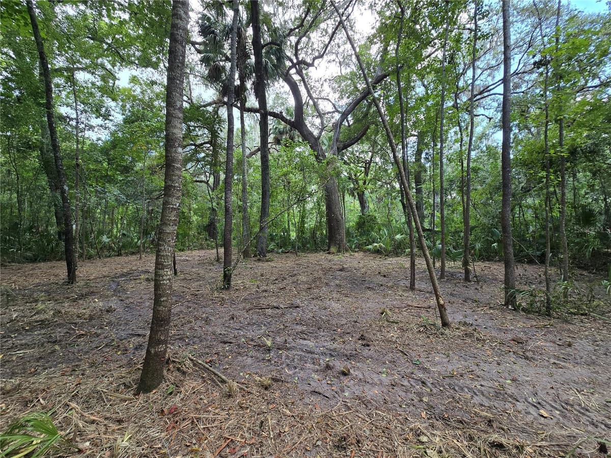 2381 JUNGLECAMP ROAD — photo 9 of 15