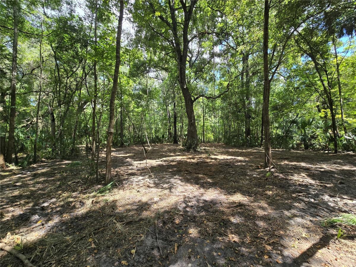 2381 JUNGLECAMP ROAD — photo 13 of 15