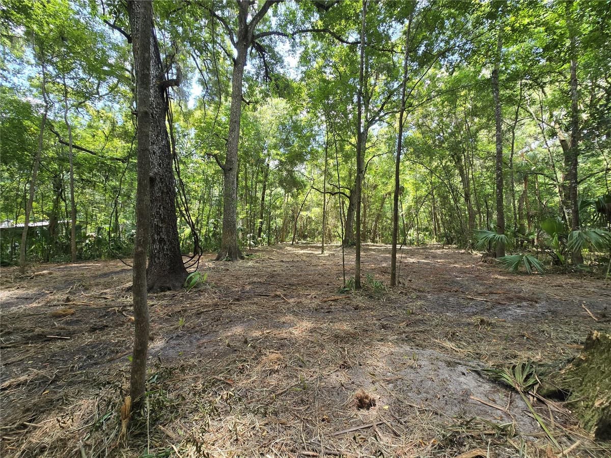 2381 JUNGLECAMP ROAD — photo 8 of 15