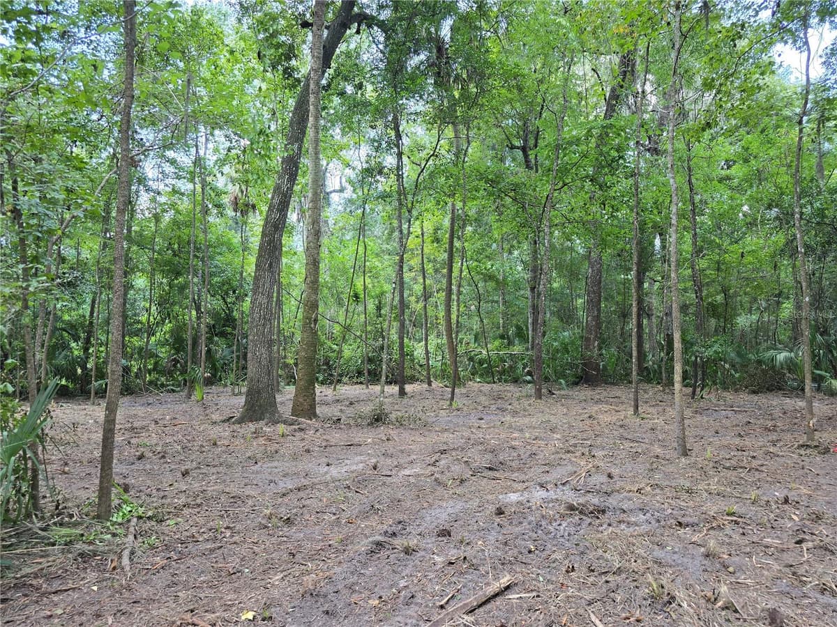 2381 JUNGLECAMP ROAD — photo 5 of 15