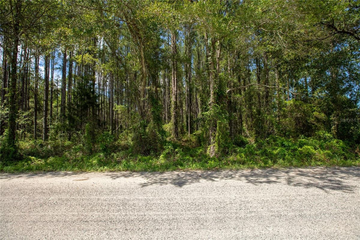 NW 185TH STREET — photo 8 of 13