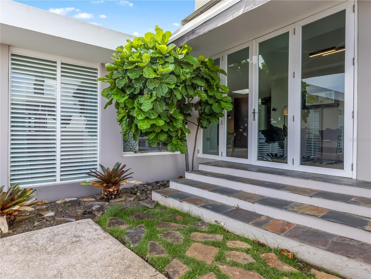236 REY FERNANDO — photo 12 of 16