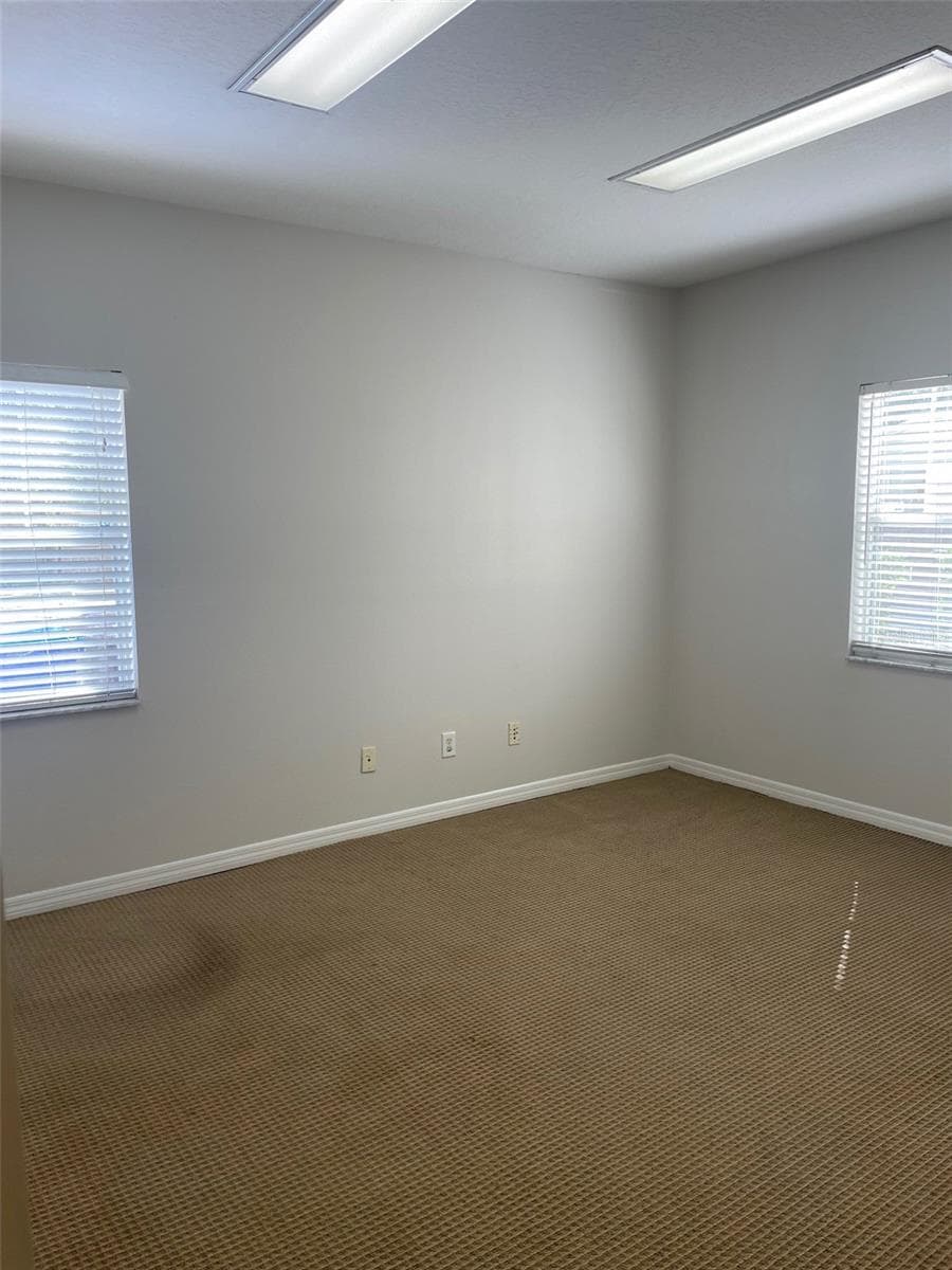 111 RANDOLPH AVENUE — photo 19 of 21