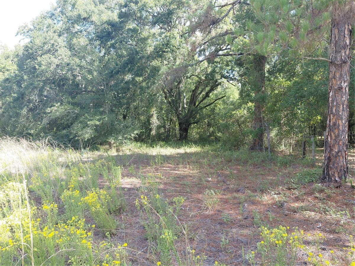 PINON DRIVE — photo 15 of 19