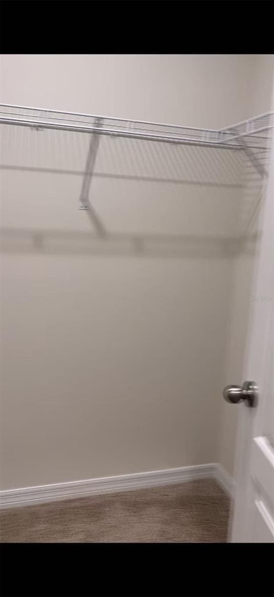 304 SOFIA LANE — photo 5 of 7