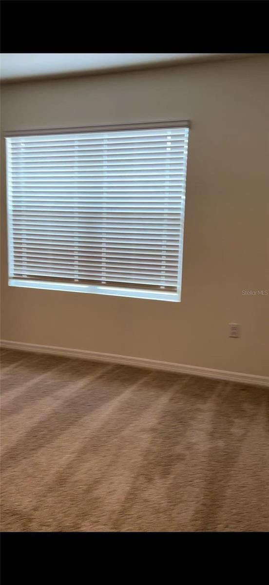 304 SOFIA LANE — photo 6 of 7