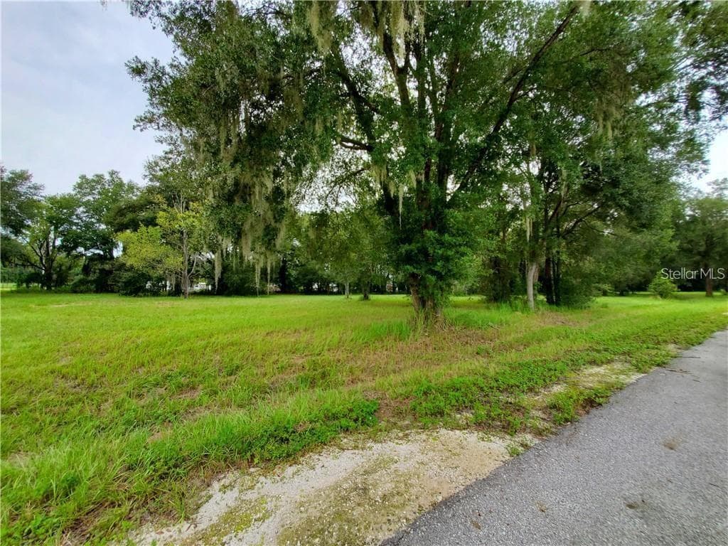FRAZEE COURT — photo 4 of 6