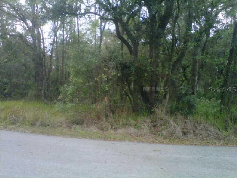 STATE PARK RD — photo 3 of 6