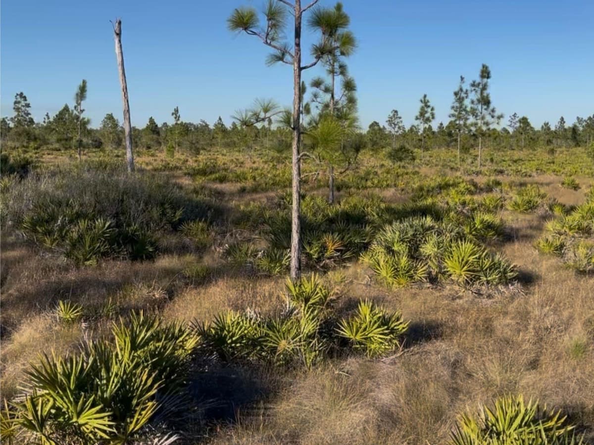 HOLOPAW GROVES ROAD — photo 1 of 2