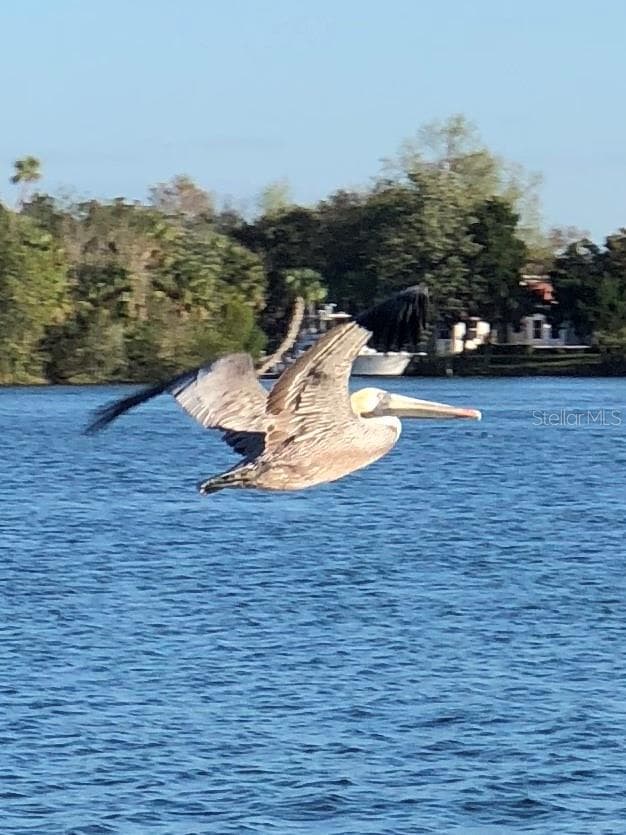 11025 HARBOR WATCH LOOP — photo 47 of 52