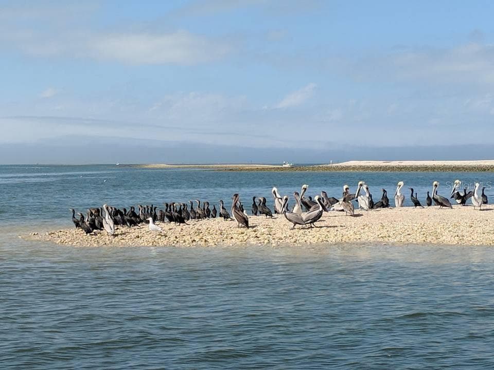 11025 HARBOR WATCH LOOP — photo 49 of 52