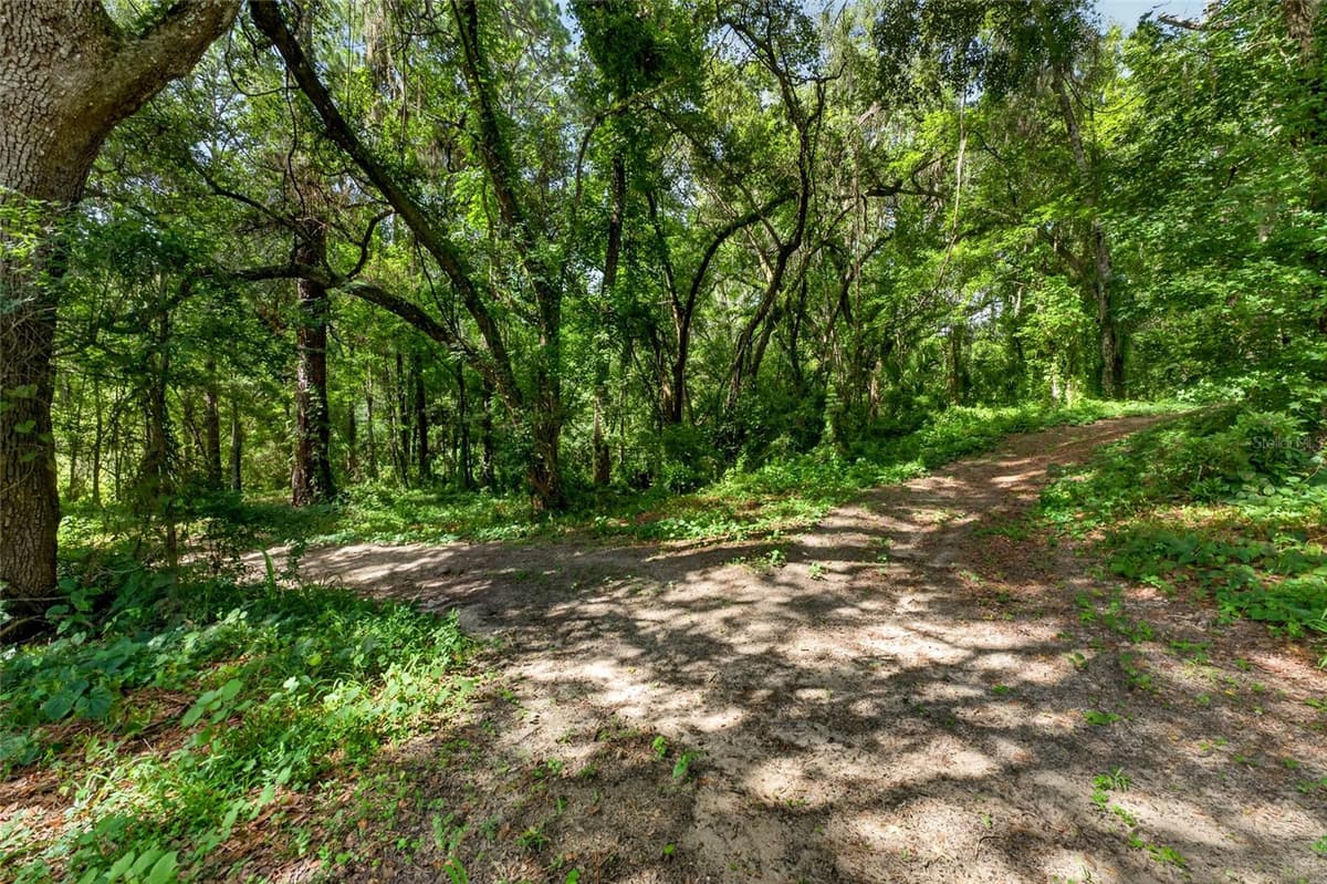 28211 MAGNON DRIVE — photo 87 of 91