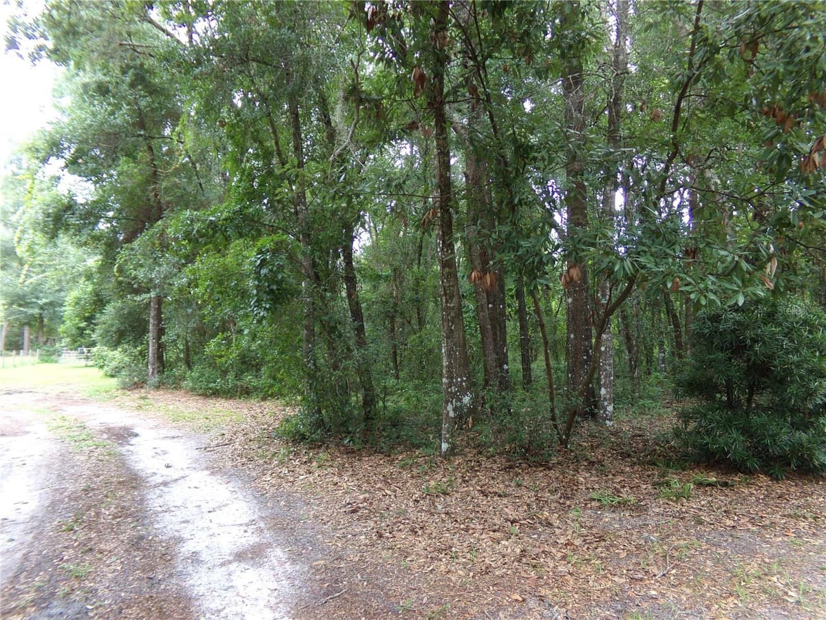 12199 44TH DRIVE — photo 43 of 54