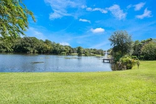 306 SWEETWATER COVE BOULEVARD — photo 46 of 61