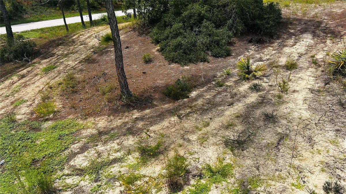 486 DREAMLAND DRIVE — photo 2 of 5