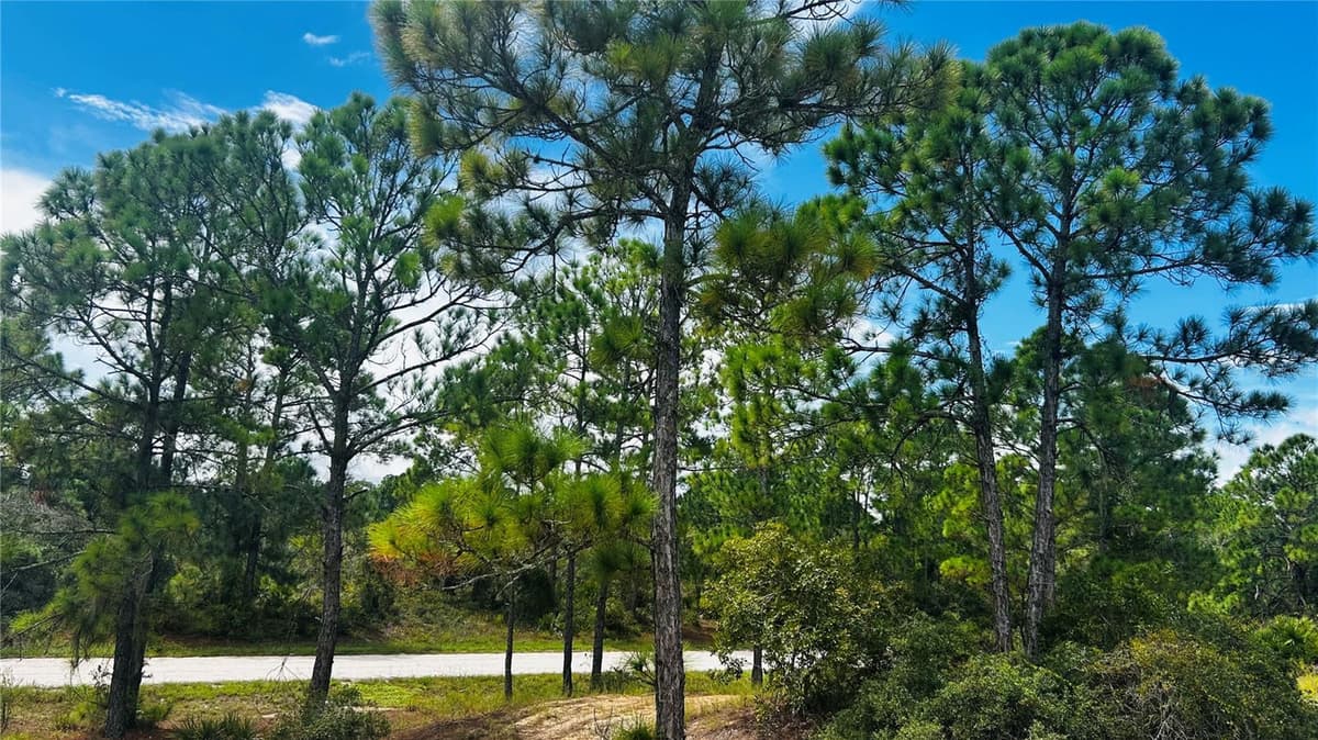 486 DREAMLAND DRIVE — photo 1 of 5