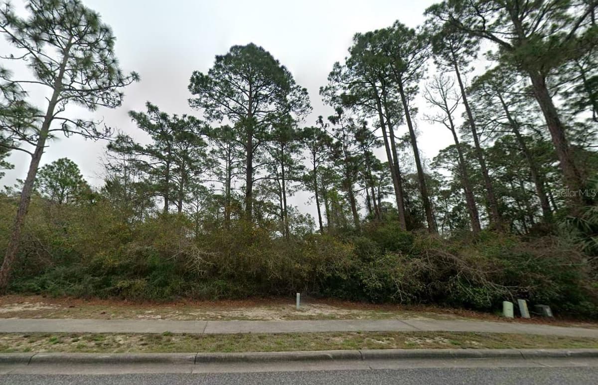 126 LAUGHING GULL LANE — photo 2 of 6