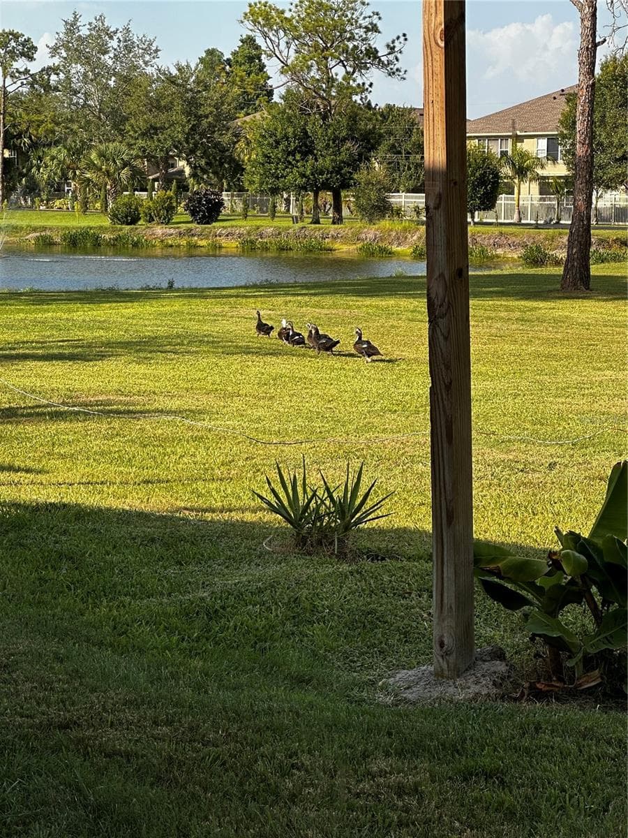 8235 BURGUNDY DRIVE — photo 41 of 45